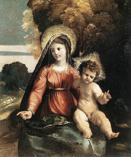 Dosso Dossi Madonna and Child oil painting image